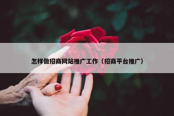 怎样做招商网站推广工作（招商平台推广）