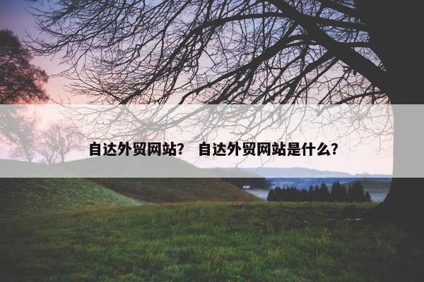 自达外贸网站？ 自达外贸网站是什么？
