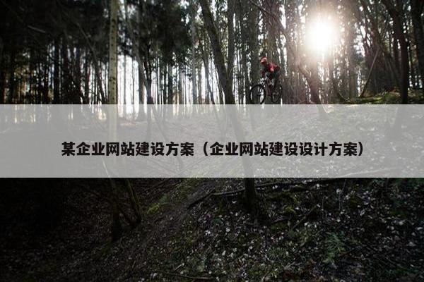 某企业网站建设方案（企业网站建设设计方案）