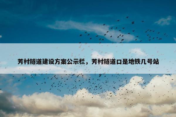 芳村隧道建设方案公示栏，芳村隧道口是地铁几号站