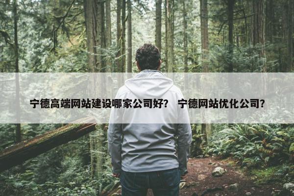 宁德高端网站建设哪家公司好？ 宁德网站优化公司？