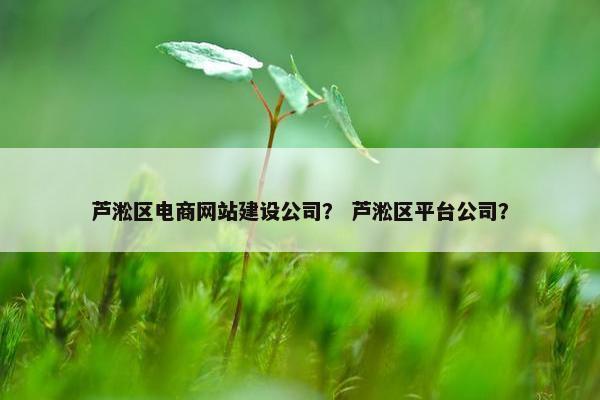 芦淞区电商网站建设公司？ 芦淞区平台公司？