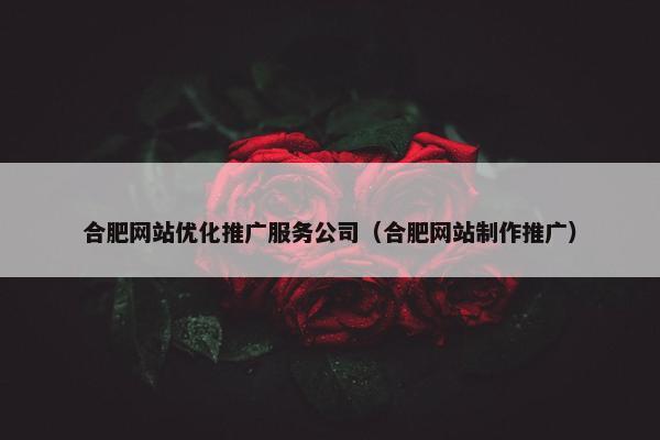 合肥网站优化推广服务公司（合肥网站制作推广）
