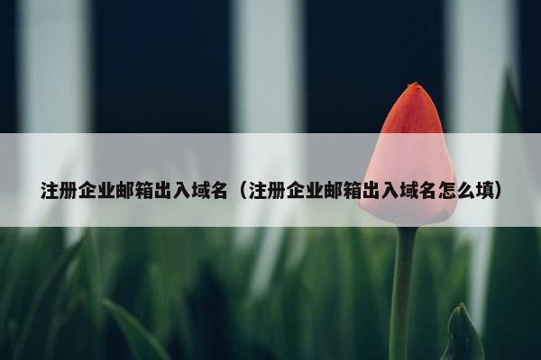 注册企业邮箱出入域名（注册企业邮箱出入域名怎么填）