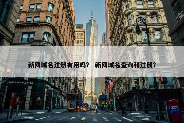 新网域名注册有用吗？ 新网域名查询和注册？