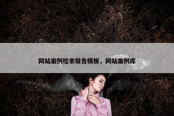 网站案例检索报告模板，网站案例库