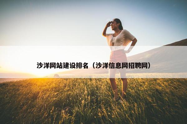 沙洋网站建设排名（沙洋信息网招聘网）