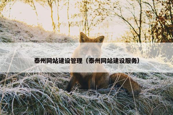 泰州网站建设管理（泰州网站建设服务）