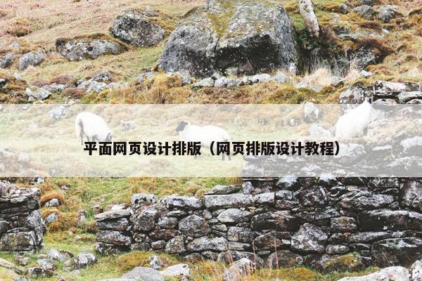 平面网页设计排版（网页排版设计教程）