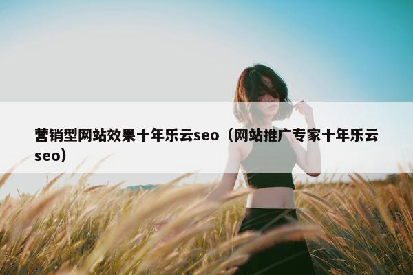 营销型网站效果十年乐云seo（网站推广专家十年乐云seo）