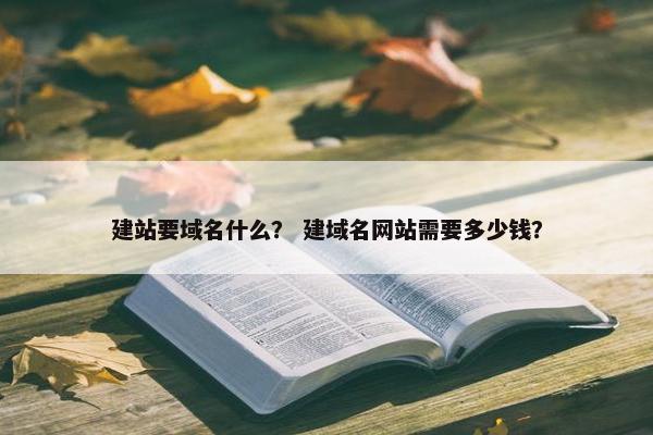 建站要域名什么？ 建域名网站需要多少钱？