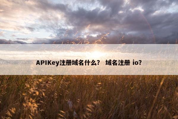 APIKey注册域名什么？ 域名注册 io？