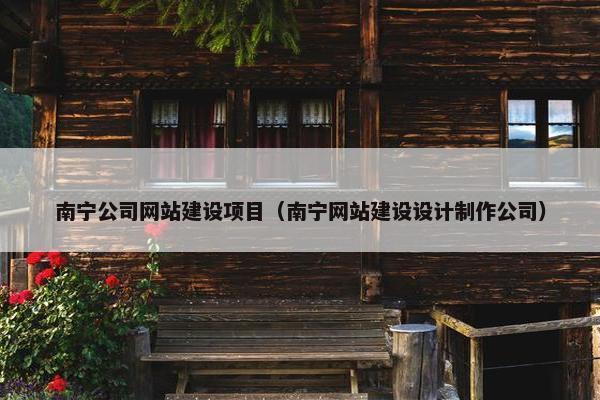 南宁公司网站建设项目（南宁网站建设设计制作公司）