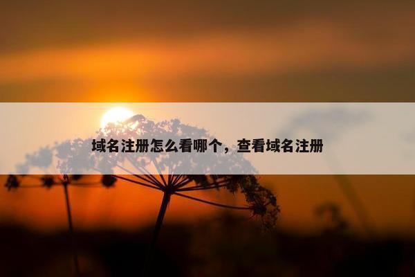 域名注册怎么看哪个，查看域名注册