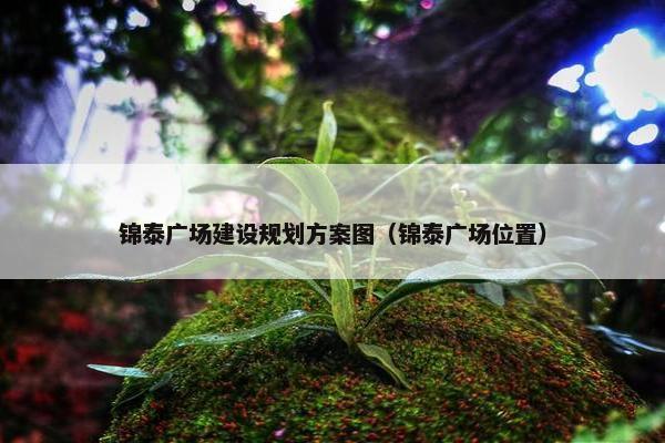 锦泰广场建设规划方案图（锦泰广场位置）