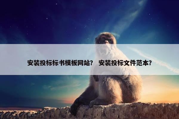 安装投标标书模板网站？ 安装投标文件范本？