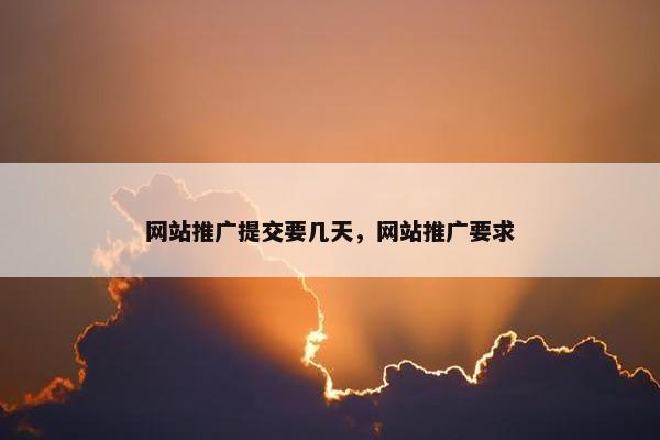 网站推广提交要几天，网站推广要求