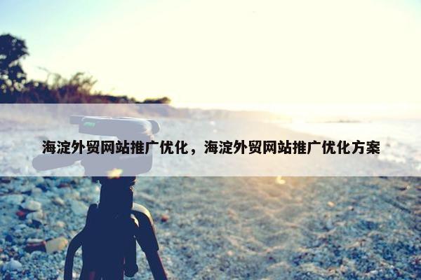 海淀外贸网站推广优化，海淀外贸网站推广优化方案