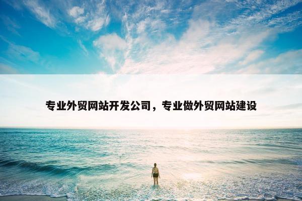 专业外贸网站开发公司，专业做外贸网站建设