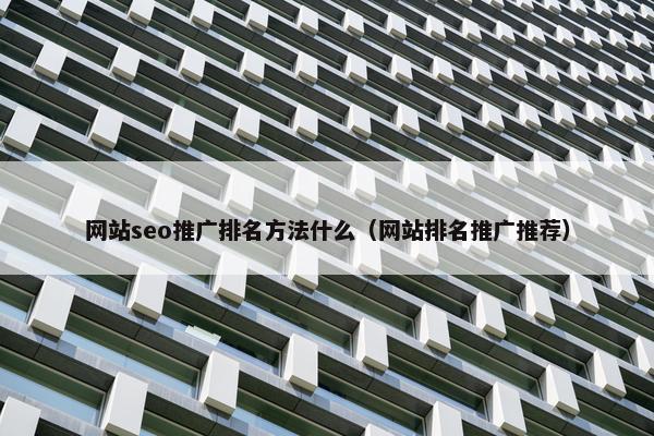 网站seo推广排名方法什么（网站排名推广推荐）