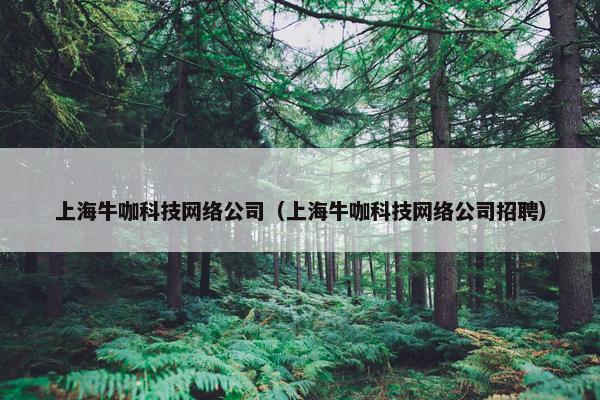 上海牛咖科技网络公司（上海牛咖科技网络公司招聘）