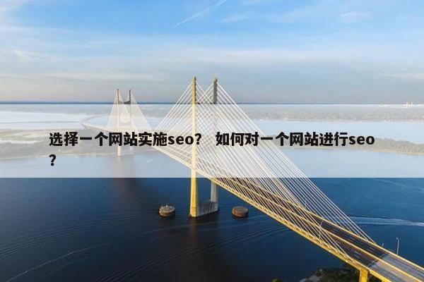 选择一个网站实施seo？ 如何对一个网站进行seo？