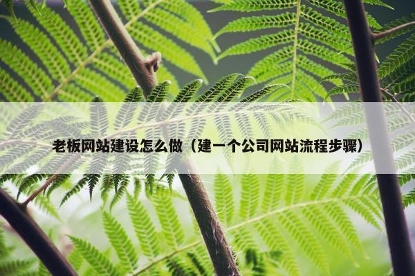 老板网站建设怎么做（建一个公司网站流程步骤）