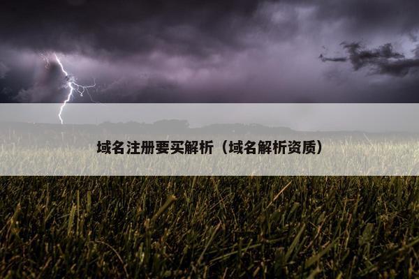 域名注册要买解析（域名解析资质）