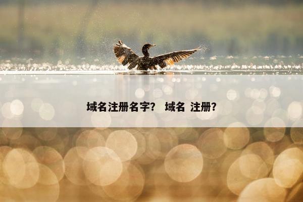 域名注册名字？ 域名 注册？