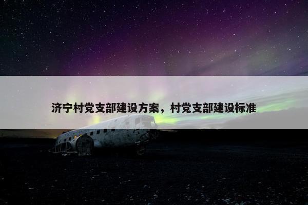 济宁村党支部建设方案，村党支部建设标准