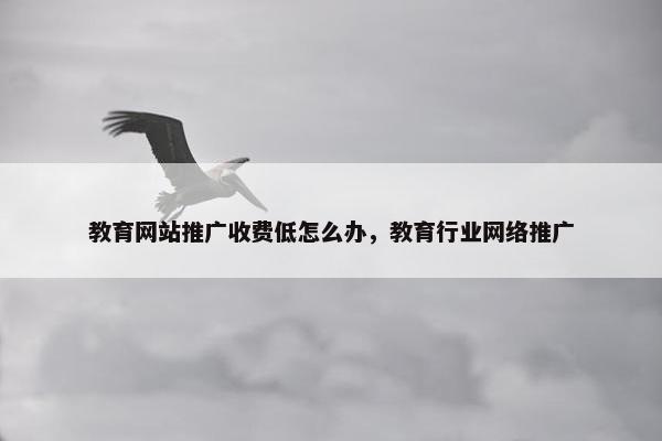 教育网站推广收费低怎么办，教育行业网络推广