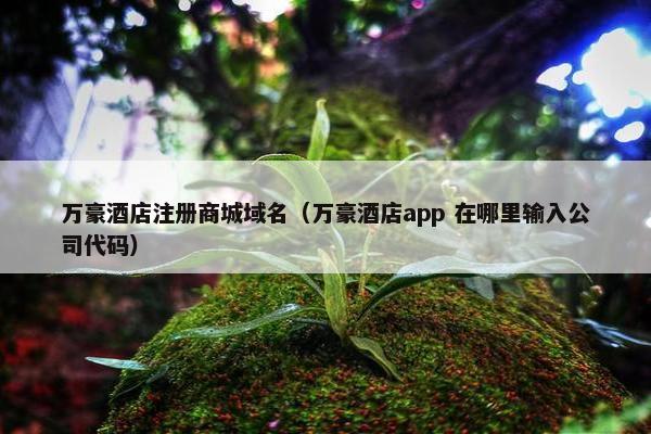 万豪酒店注册商城域名（万豪酒店app 在哪里输入公司代码）