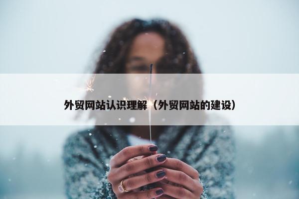 外贸网站认识理解（外贸网站的建设）