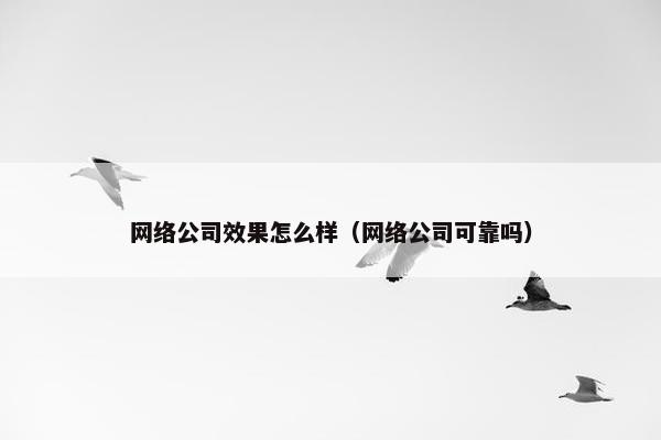 网络公司效果怎么样（网络公司可靠吗）