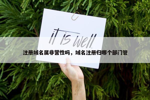 注册域名属非营性吗，域名注册归哪个部门管