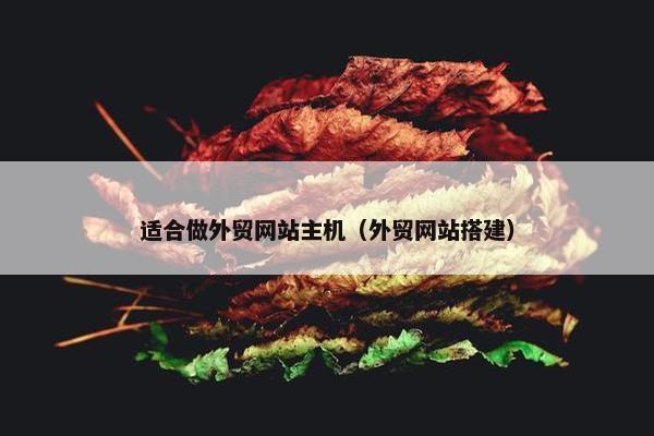 适合做外贸网站主机（外贸网站搭建）