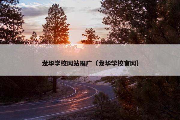 龙华学校网站推广（龙华学校官网）