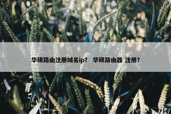 华硕路由注册域名ip？ 华硕路由器 注册？