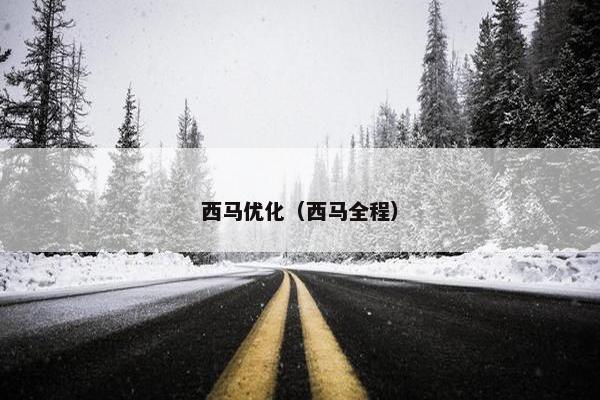 西马优化（西马全程）