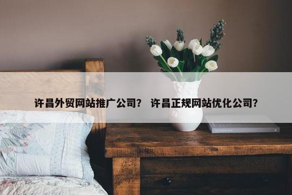 许昌外贸网站推广公司？ 许昌正规网站优化公司？