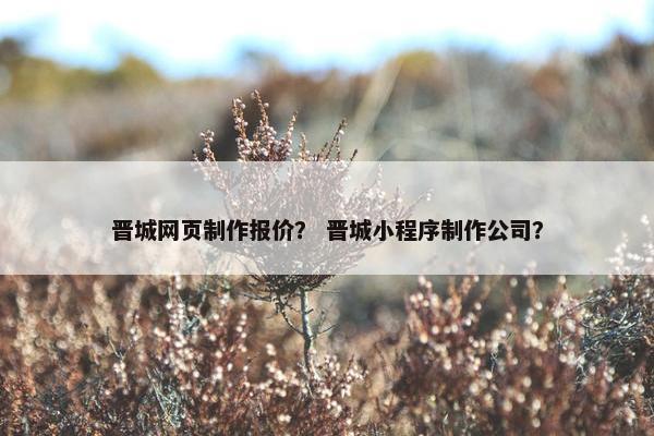 晋城网页制作报价？ 晋城小程序制作公司？