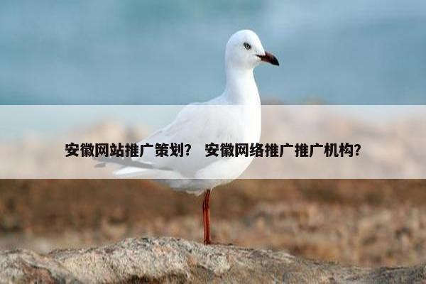 安徽网站推广策划？ 安徽网络推广推广机构？