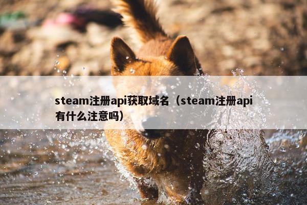 steam注册api获取域名（steam注册api有什么注意吗）