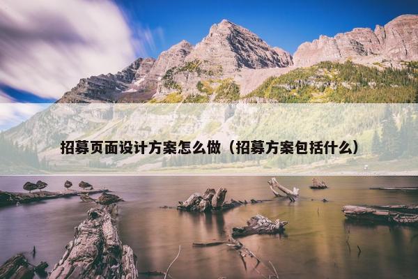 招募页面设计方案怎么做（招募方案包括什么）