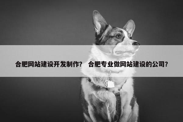 合肥网站建设开发制作？ 合肥专业做网站建设的公司？
