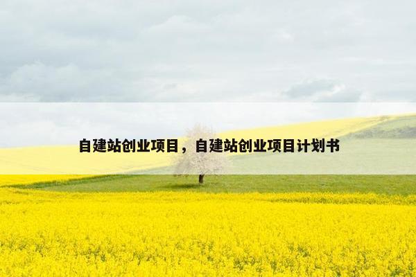 自建站创业项目，自建站创业项目计划书