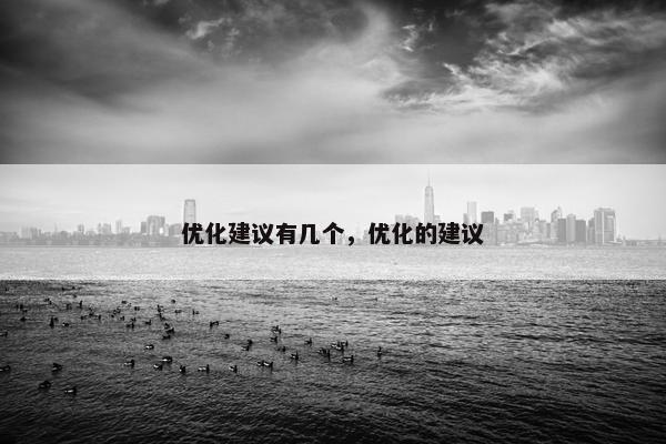 优化建议有几个，优化的建议