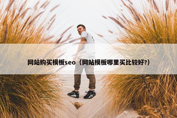 网站购买模板seo（网站模板哪里买比较好?）
