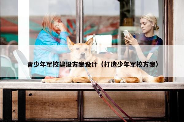 青少年军校建设方案设计（打造少年军校方案）
