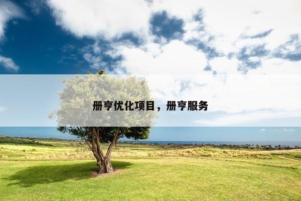 册亨优化项目，册亨服务
